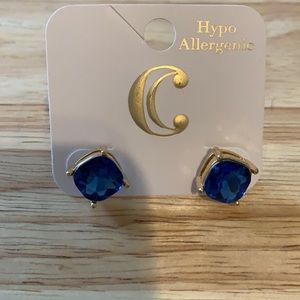Charming Charlie blue stud earrings